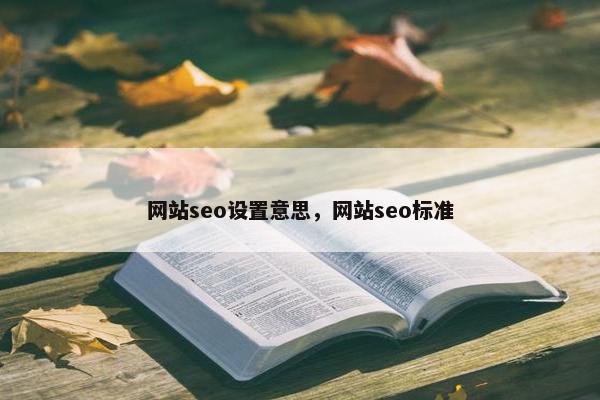 网站seo设置意思，网站seo标准
