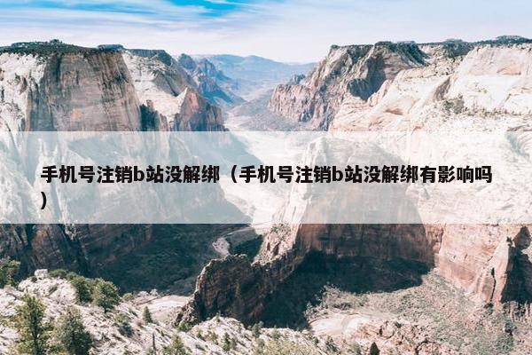 手机号注销b站没解绑（手机号注销b站没解绑有影响吗）