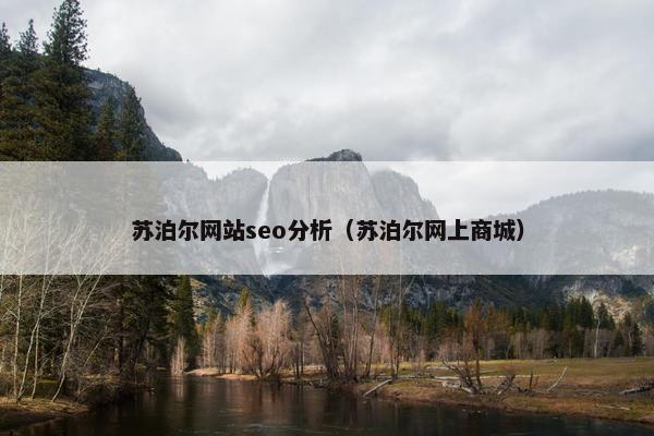 苏泊尔网站seo分析（苏泊尔网上商城）