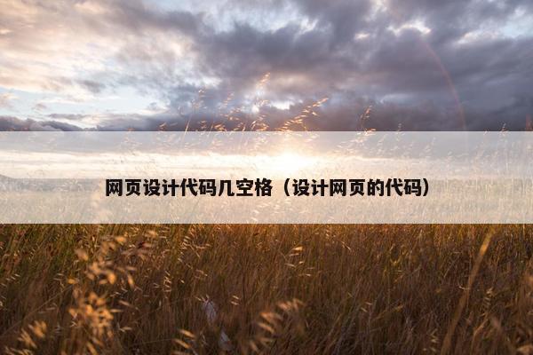 网页设计代码几空格（设计网页的代码）