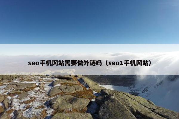 seo手机网站需要做外链吗（seo1手机网站）