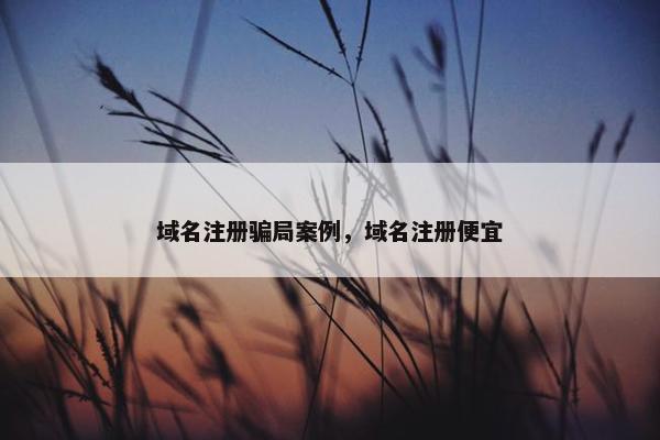 域名注册骗局案例，域名注册便宜
