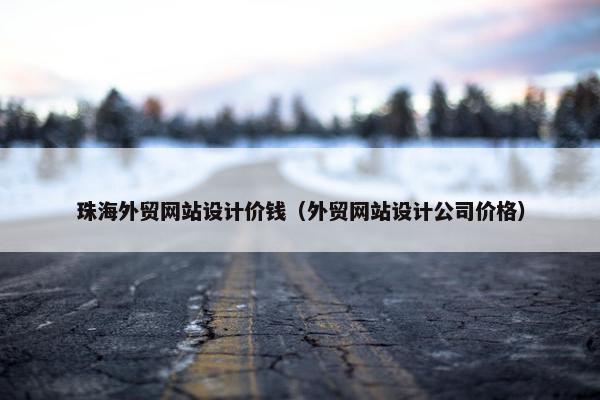 珠海外贸网站设计价钱（外贸网站设计公司价格）