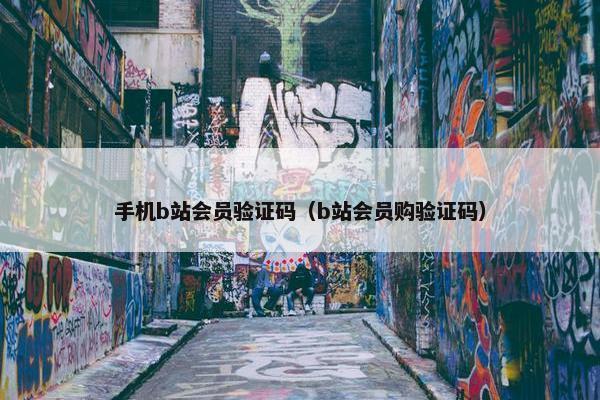 手机b站会员验证码（b站会员购验证码）