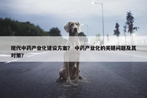 现代中药产业化建设方案？ 中药产业化的关键问题及其对策？