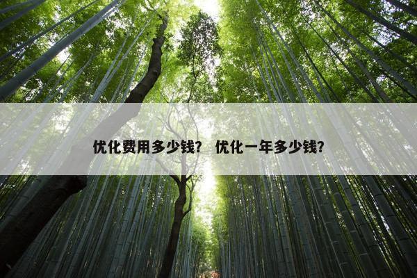 优化费用多少钱？ 优化一年多少钱？