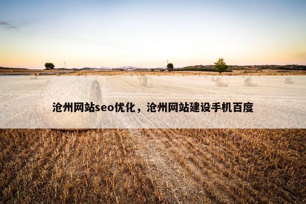 沧州网站seo优化，沧州网站建设手机百度