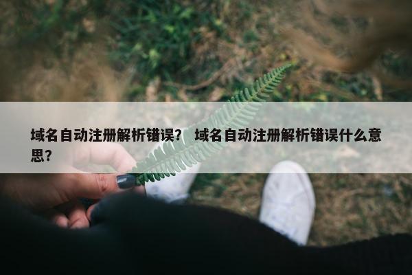 域名自动注册解析错误？ 域名自动注册解析错误什么意思？