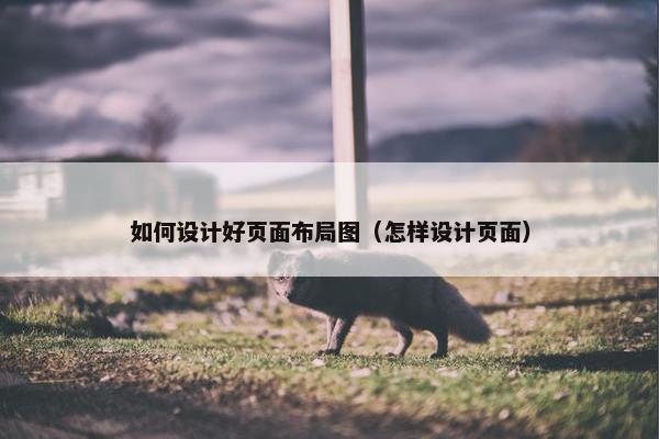 如何设计好页面布局图（怎样设计页面）