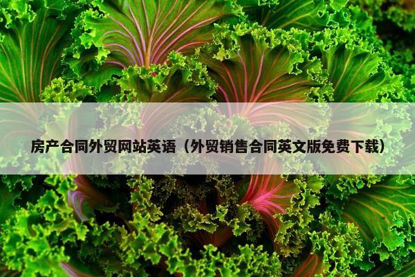 房产合同外贸网站英语（外贸销售合同英文版免费下载）