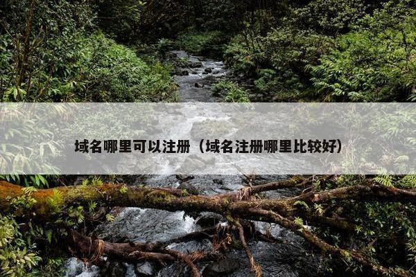 域名哪里可以注册（域名注册哪里比较好）