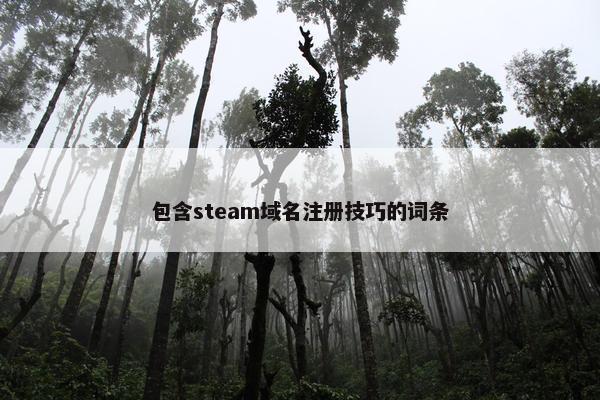 包含steam域名注册技巧的词条