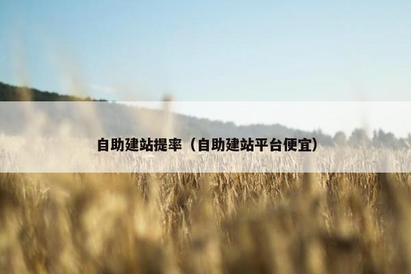 自助建站提率（自助建站平台便宜）
