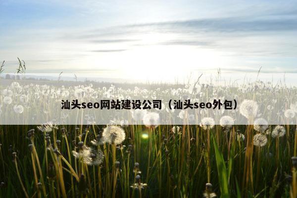 汕头seo网站建设公司（汕头seo外包）