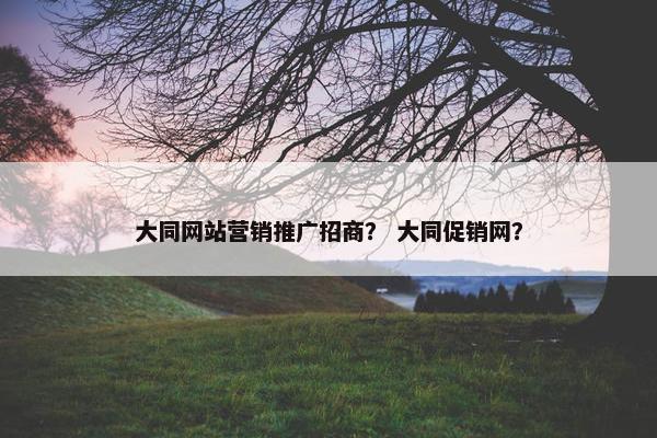 大同网站营销推广招商？ 大同促销网？