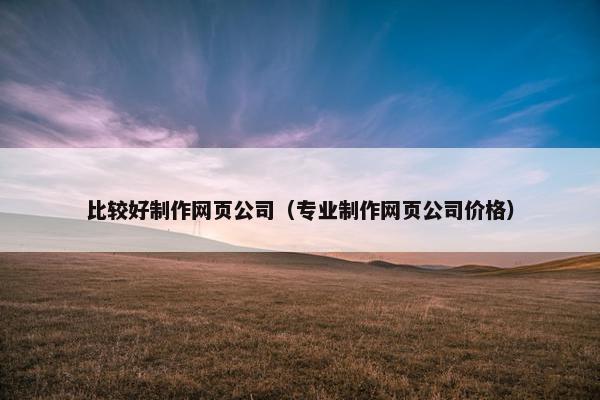 比较好制作网页公司（专业制作网页公司价格）