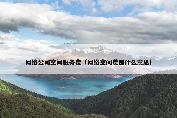 网络公司空间服务费（网络空间费是什么意思）