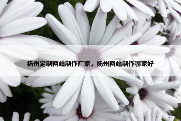 扬州定制网站制作厂家，扬州网站制作哪家好