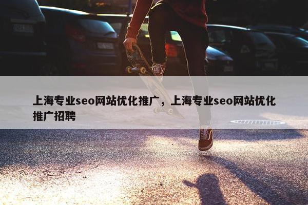 上海专业seo网站优化推广，上海专业seo网站优化推广招聘