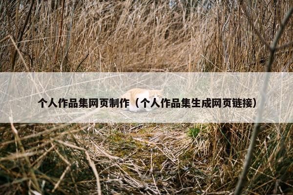 个人作品集网页制作（个人作品集生成网页链接）