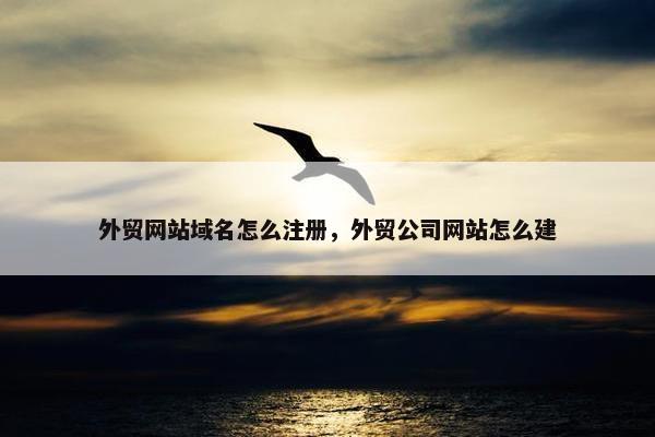 外贸网站域名怎么注册，外贸公司网站怎么建