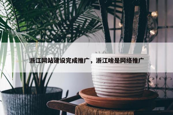 浙江网站建设完成推广，浙江啥是网络推广