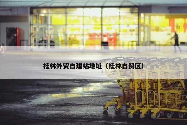 桂林外贸自建站地址（桂林自贸区）