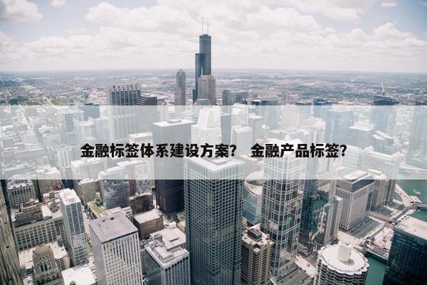 金融标签体系建设方案？ 金融产品标签？