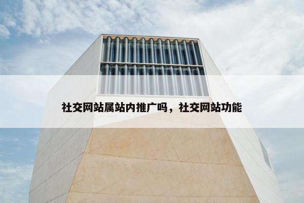社交网站属站内推广吗，社交网站功能