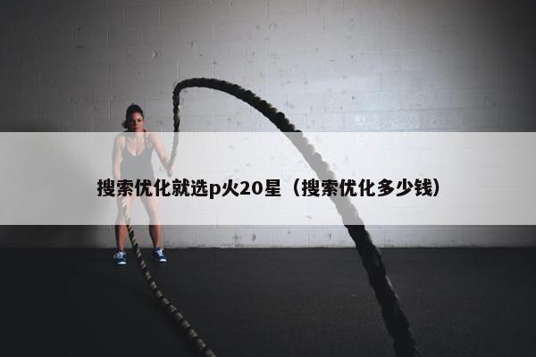 搜索优化就选p火20星（搜索优化多少钱）