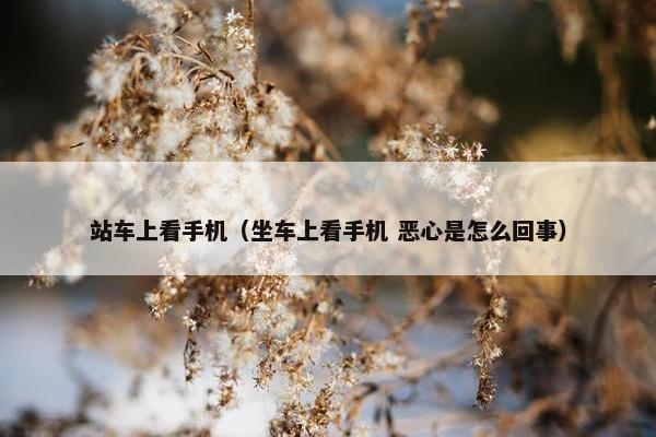站车上看手机（坐车上看手机 恶心是怎么回事）