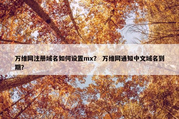 万维网注册域名如何设置mx？ 万维网通知中文域名到期？
