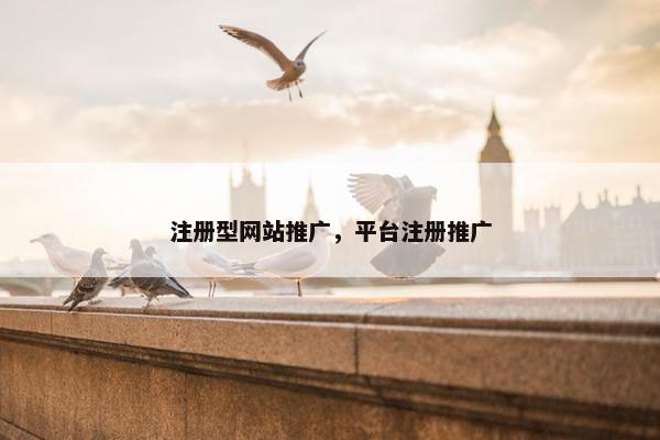 注册型网站推广，平台注册推广