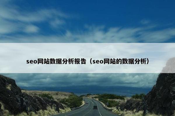 seo网站数据分析报告（seo网站的数据分析）