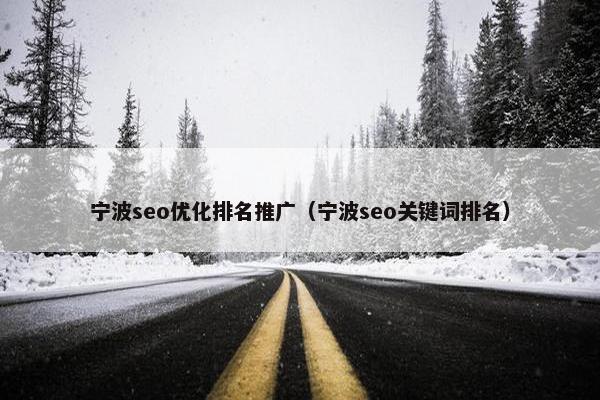宁波seo优化排名推广（宁波seo关键词排名）