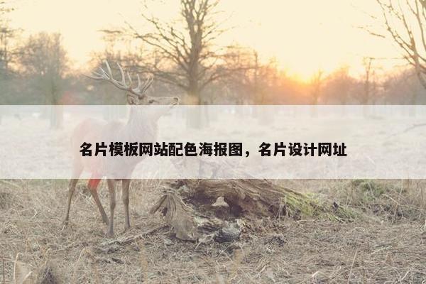 名片模板网站配色海报图，名片设计网址