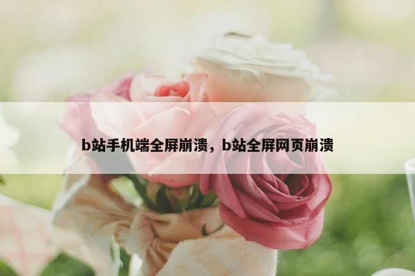 b站手机端全屏崩溃，b站全屏网页崩溃