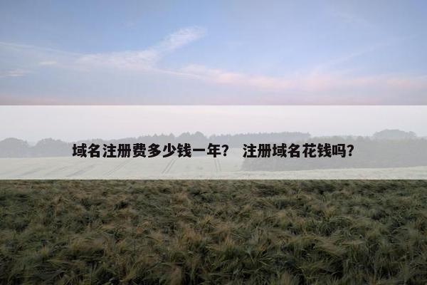 域名注册费多少钱一年？ 注册域名花钱吗？