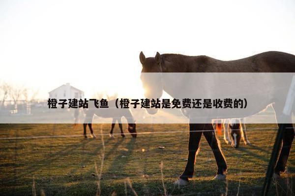 橙子建站飞鱼（橙子建站是免费还是收费的）