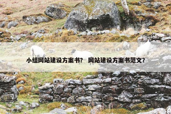 小组网站建设方案书？ 网站建设方案书范文？