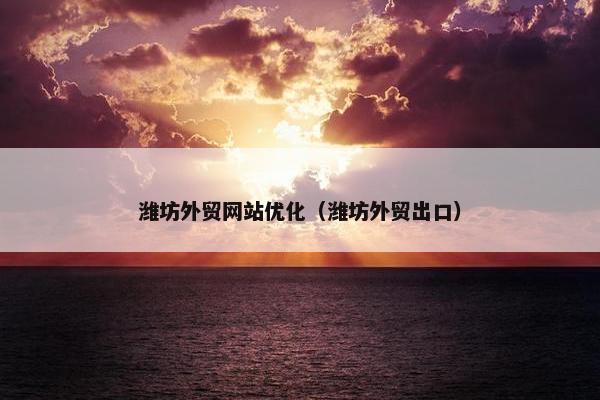 潍坊外贸网站优化（潍坊外贸出口）
