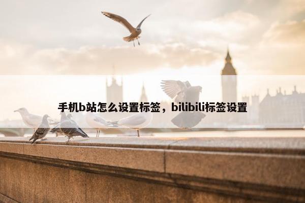 手机b站怎么设置标签，bilibili标签设置