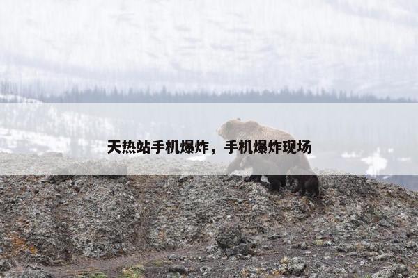 天热站手机爆炸，手机爆炸现场