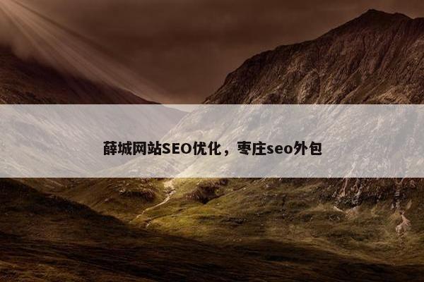 薛城网站SEO优化，枣庄seo外包