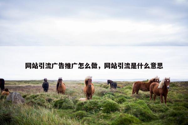 网站引流广告推广怎么做，网站引流是什么意思