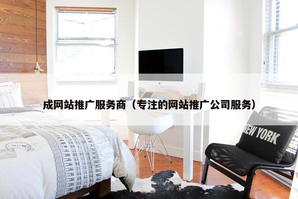成网站推广服务商（专注的网站推广公司服务）