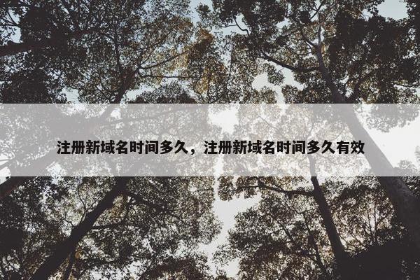 注册新域名时间多久，注册新域名时间多久有效