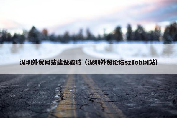 深圳外贸网站建设骏域（深圳外贸论坛szfob网站）