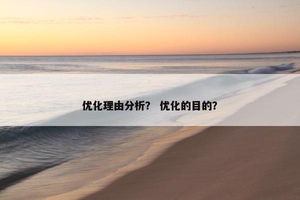 优化理由分析？ 优化的目的？