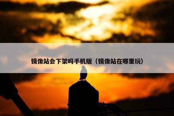 镜像站会下架吗手机版（镜像站在哪里玩）